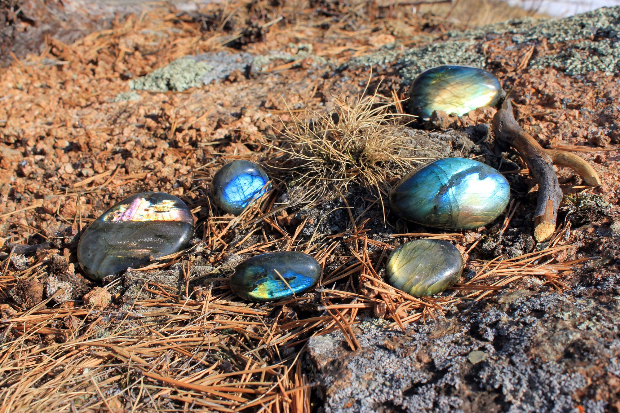 cómo utilizar las piedras de palmera